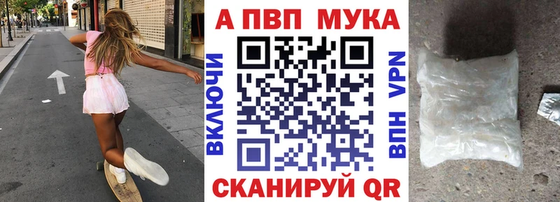Альфа ПВП СК  OMG ТОР  Кингисепп 