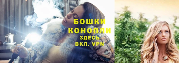 тгк Михайловск