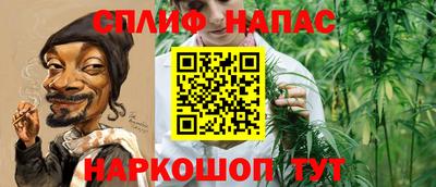 стафф Гусев
