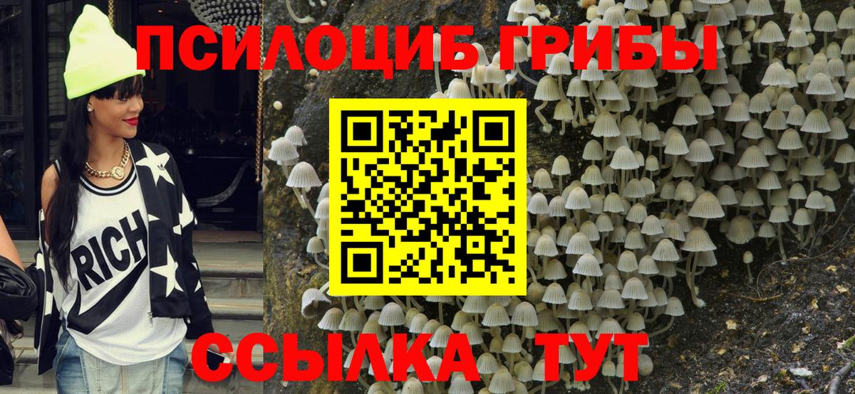 Галлюциногенные грибы Psilocybine cubensis  Вход с VPN  Кингисепп 