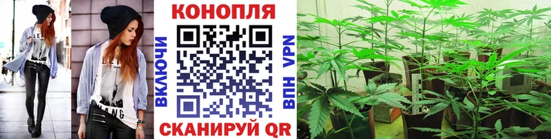 МАРИХУАНА Ganja  Кингисепп 