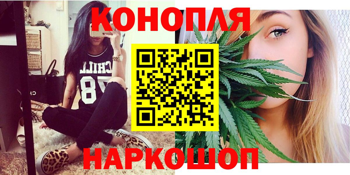 Шишки марихуана сатива Кингисепп